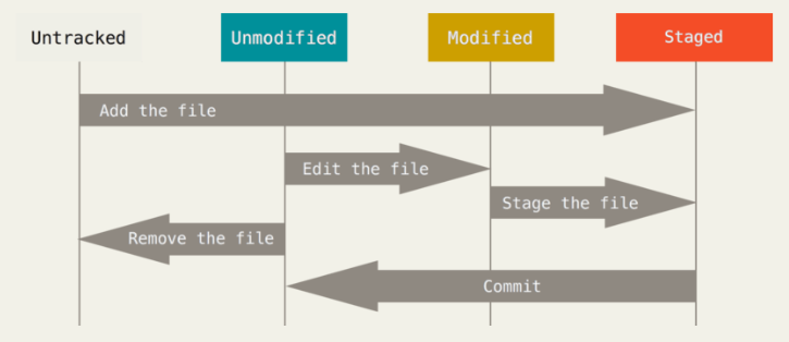 Git Status