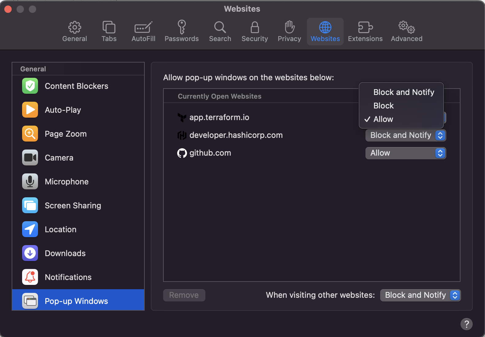 Safari allow popup windows on MacOS